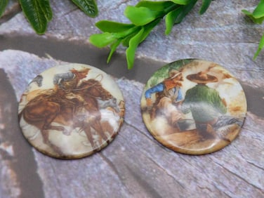 COWBOY CABOCHONS ROCK STONE LAPIDARY SPECIMEN
