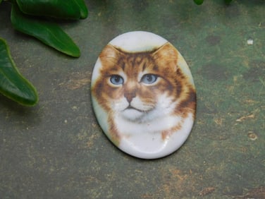 CAT CABOCHON ROCK STONE LAPIDARY SPECIMEN