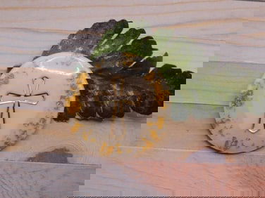 GOLD FLECKED CROSS CABOCHON ROCK STONE LAPIDARY SPECIMEN