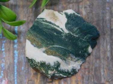 ZEBRA ROCK STONE LAPIDARY SPECIMEN