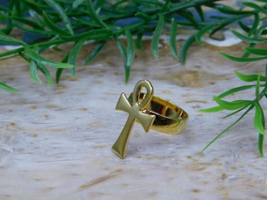 ANKH RING ROCK STONE LAPIDARY SPECIMEN