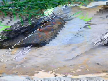 MIXED STONE PENDULUM ROCK STONE LAPIDARY SPECIMEN