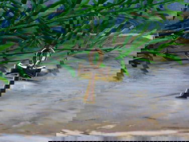 ANKH RING ROCK STONE LAPIDARY SPECIMEN