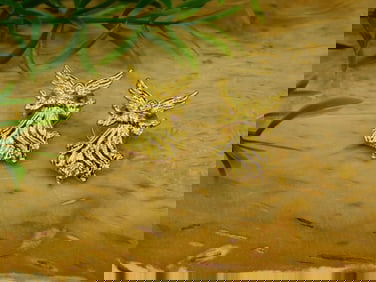 ANGEL PINS ROCK STONE LAPIDARY SPECIMEN