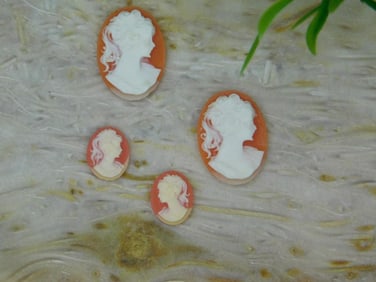 CAMEO CABOCHONS ROCK STONE LAPIDARY SPECIMEN