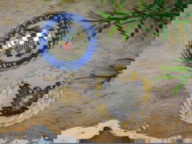 MIXED CABOCHON LOT ROCK STONE LAPIDARY SPECIMEN