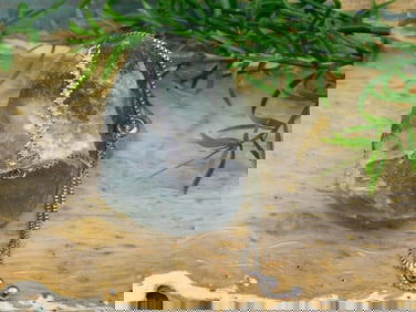 GENUINE STONE ADJUSTABLE BRACELET ROCK STONE LAPIDARY SPECIMEN