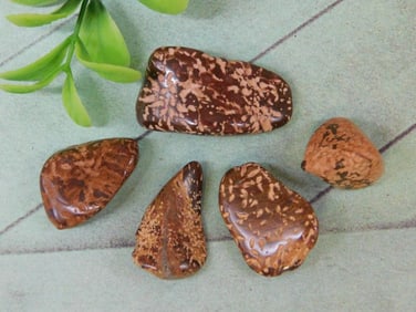 STARBURST JASPER ROCK STONE LAPIDARY SPECIMEN