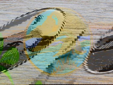 DUCK CABOCHON ROCK STONE LAPIDARY SPECIMEN