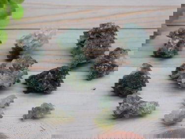 PREHNITE ROCK STONE LAPIDARY SPECIMEN