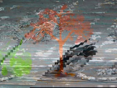 MIXED STONE TREE ROCK STONE LAPIDARY SPECIMEN