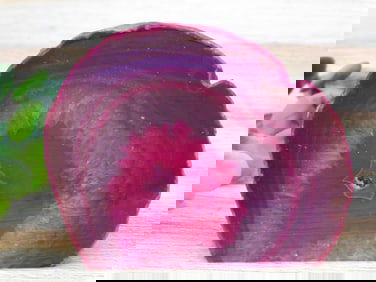 AGATE ROCK STONE LAPIDARY SPECIMEN