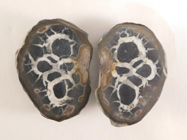 SEPTARIAN HALVES ROCK STONE LAPIDARY SPECIMEN
