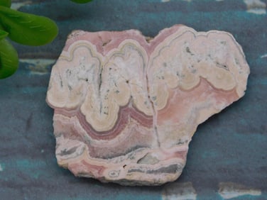 RHODOCHROSITE SLAB ROCK STONE LAPIDARY SPECIMEN