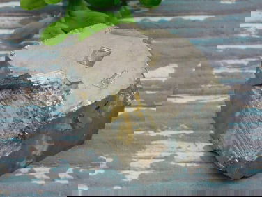 ILLUSTRIOUS SPANISH PYRITE CUBE ROCK STONE LAPIDARY SPECIMEN