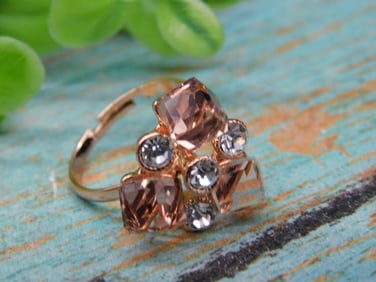 STONE RING ROCK STONE LAPIDARY SPECIMEN