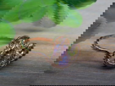 STONE RING ROCK STONE LAPIDARY SPECIMEN