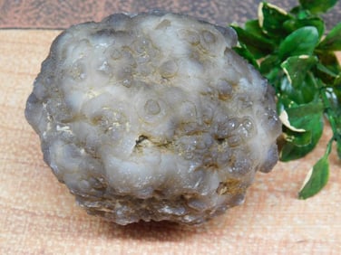 BOTRYOIDAL CHALCEDONY ROCK STONE LAPIDARY SPECIMEN