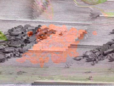 12 Grams of Goldstone Gemstones