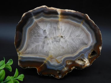 Polished Agate With Banded Pattern