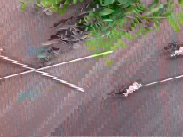 Two Silver and Glass Decorative Hairpins