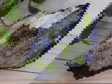 Purple and Gold Geode ROCK STONE LAPIDARY SPECIMEN