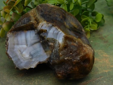 Agate Stone with Geode-Like Features ROCK STONE LAPIDARY SPECIMEN