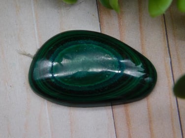 Malachite Cabochon Rock Stone Lapidary Specimen