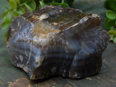 Agate Specimen with Layered Structure Rock Stone Lapidary Specimen