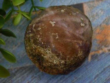 Agate Rock Stone Lapidary Specimen
