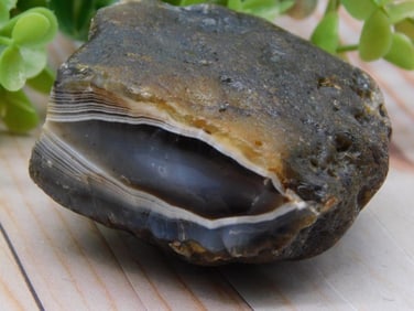 Black Skin Agate Rock Stone Lapidary Specimen
