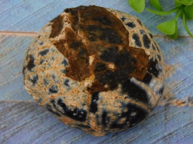 Agate Rock Stone Lapidary Specimen