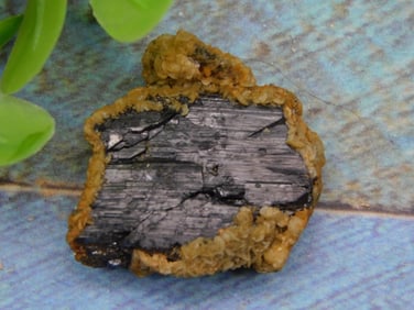 Rock Stone Lapidary Specimen