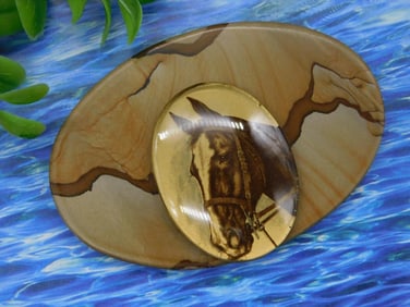 Horse Cabochon Set on Jasper Cabochon ROCK STONE LAPIDARY SPECIMEN