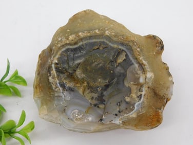 Agate ROCK STONE LAPIDARY SPECIMEN