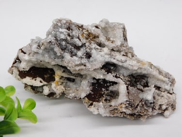 Chalcedony ROCK STONE LAPIDARY SPECIMEN