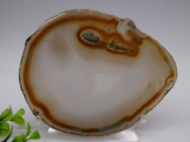 Agate Slice ROCK STONE LAPIDARY SPECIMEN