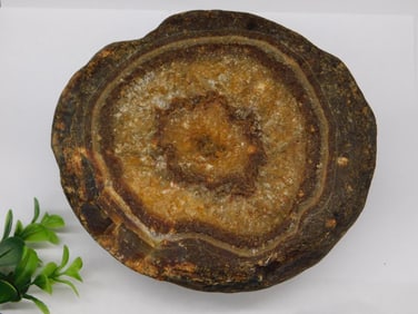 Brazilian Agate ROCK STONE LAPIDARY SPECIMEN