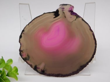 Agate Slice ROCK STONE LAPIDARY SPECIMEN