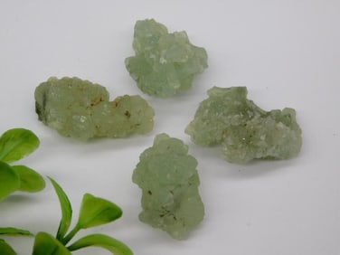 Prehnite ROCK STONE LAPIDARY SPECIMEN