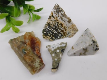 Ocean Jasper Rock Stone Lapidary Specimens