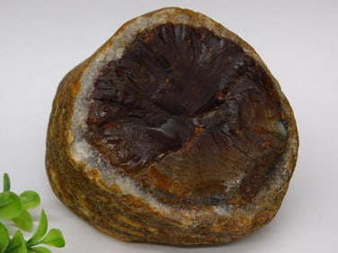 Brazilian Agate Rock Stone Lapidary Specimen
