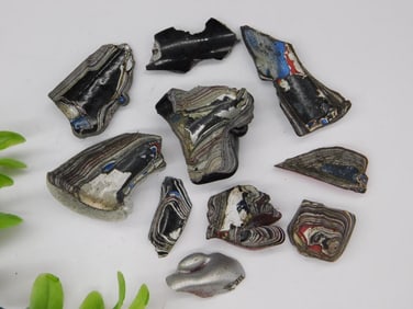 Fordite Motor City Agate Rock Stone Lapidary Specimen