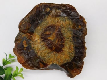 Brazilian Agate Rock Stone Lapidary Specimen