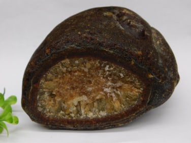 Brazilian Agate Rock Stone Lapidary Specimen