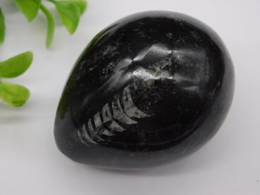 Fossil Orthoceras Polished Black Egg Rock Stone Lapidary Specimen