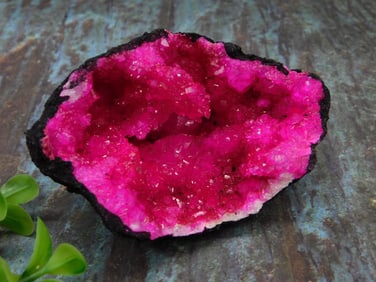 Vibrant Pink Quartz Crystal Geode Specimen Rock Stone Lapidary Specimen
