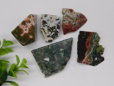 Ocean Jasper Rock Stone Lapidary Specimen