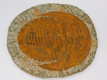 Fossilized Trilobite Specimen in Stone Matrix Rock Stone Lapidary Specimen