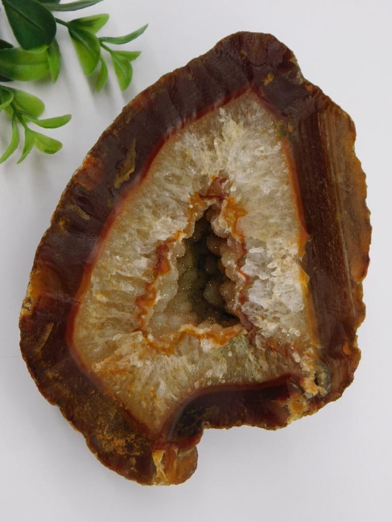 Brazilian Agate Rock Stone Lapidary Specimen: Brazilian Agate Rock Stone Lapidary Specimen